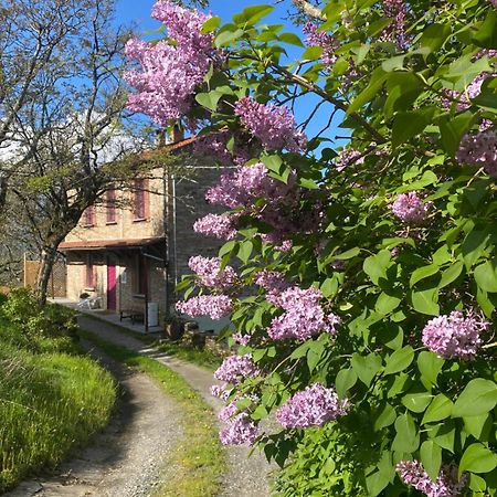 贝尔切托La Lupa E L'Orso住宿加早餐旅馆 外观 照片